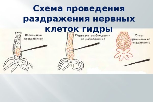 Кракен сайт как зайти