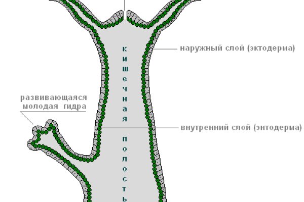 Кракен нарка шоп