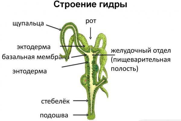 Кракен что продается