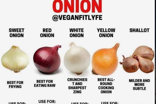 Kraken istand onion